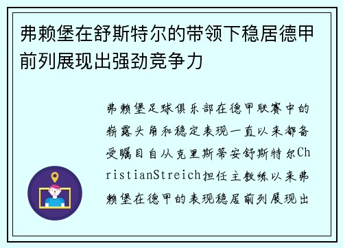 弗赖堡在舒斯特尔的带领下稳居德甲前列展现出强劲竞争力