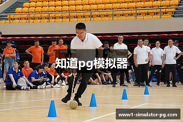 知道pg模拟器